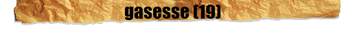 gasesse (19)