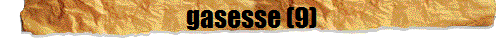 gasesse (9)